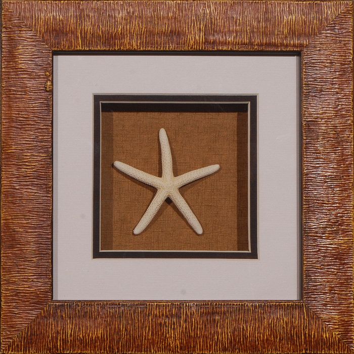 11 x 11 (8 x 8)\nPrice: BZ