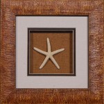 11 x 11 (8 x 8)\nPrice: BZ