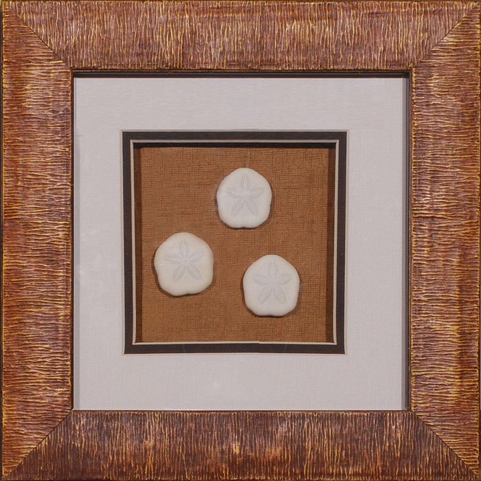 11 x 11 (8 x 8)\nPrice: BZ