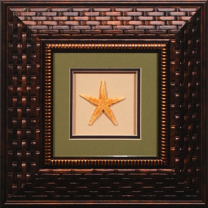 15 x 15 (8 x 8)\nPrice: AZ