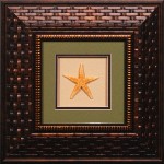 15 x 15 (8 x 8)\nPrice: AZ