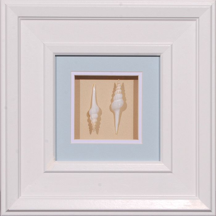 15 x 15 (8 x 8)\nPrice: AZ