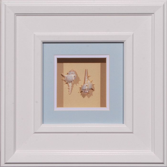15 x 15 (8 x 8)\nPrice: AZ