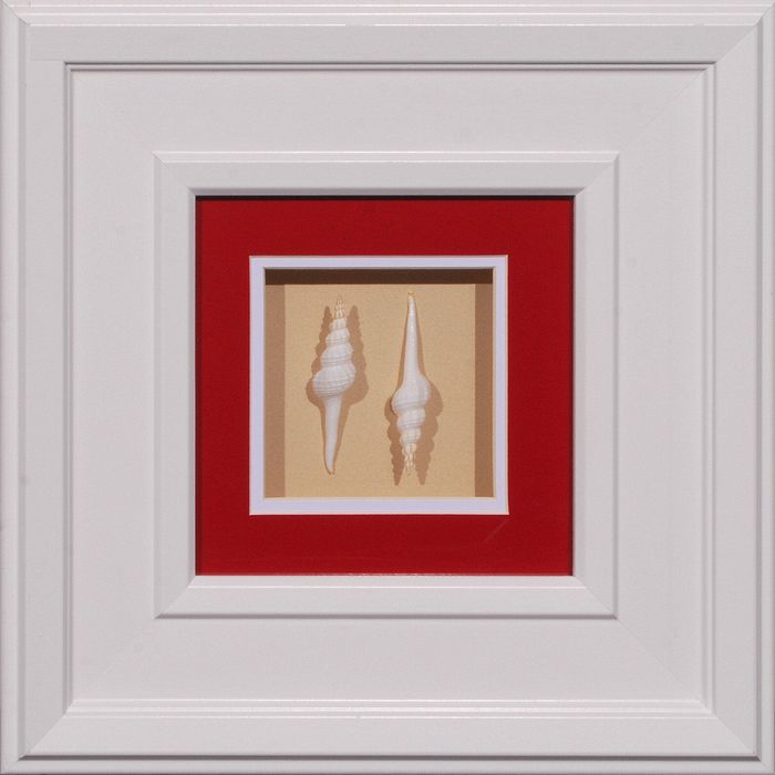 15 x 15 (8 x 8)\nPrice: AZ