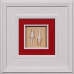 15 x 15 (8 x 8)\nPrice: AZ