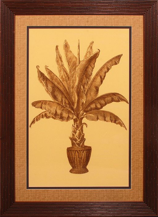 34 x 46 (28 x 40)\nPrice: K