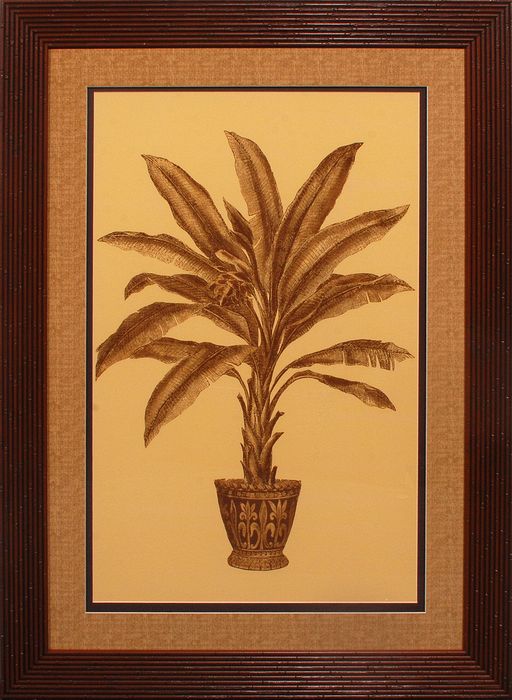 34 x 46 (28 x 40)\nPrice: K