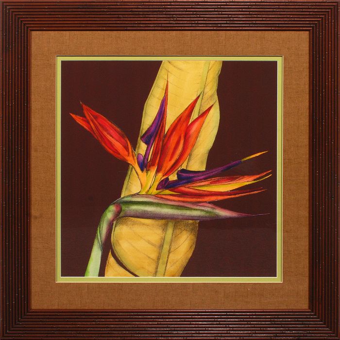 36 x 36 (30 x 30)\nPrice: J