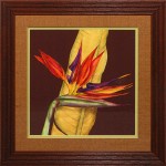 36 x 36 (30 x 30)\nPrice: J
