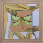 37 x 37 (30 x 30)\nPrice: I