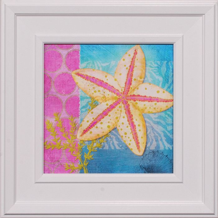 19 x 19 (12 x 12)\nPrice: B