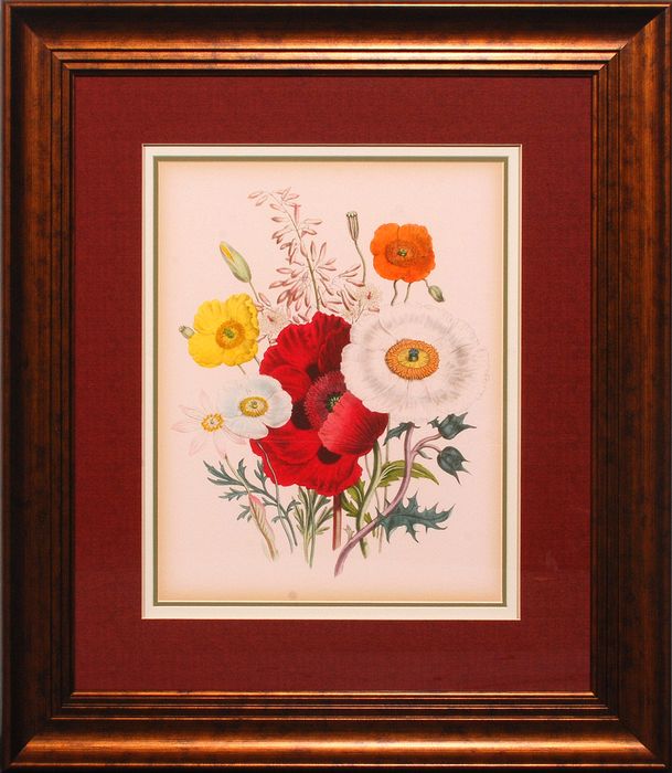 35 x 39 (28 x 32)\nPrice: I