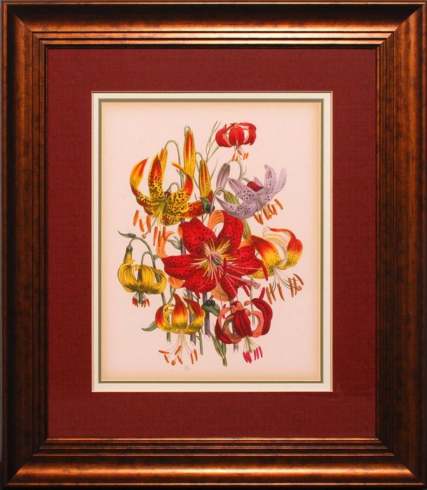 35 x 39 (28 x 32)\nPrice: I
