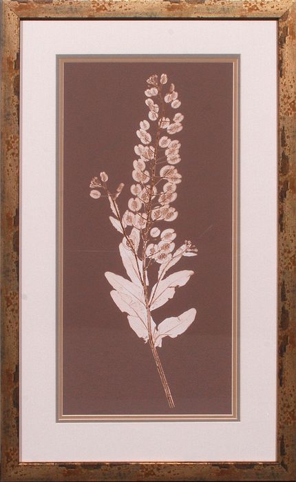20 x 32 (18 x 30)\nPrice: S