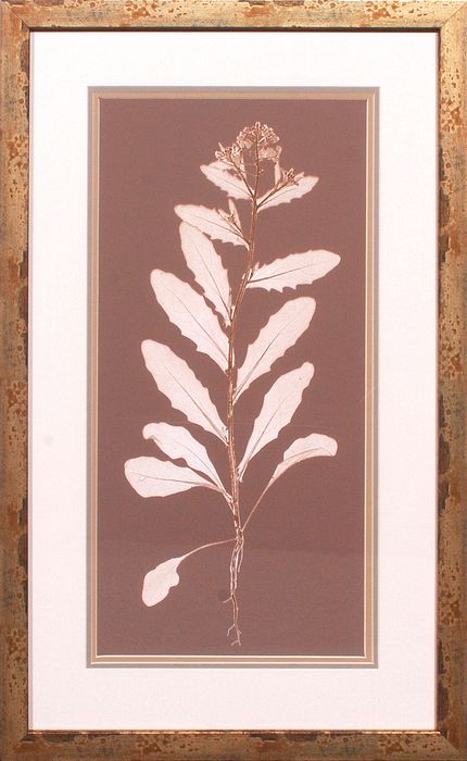 20 x 32 (18 x 30)\nPrice: S