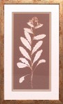 20 x 32 (18 x 30)\nPrice: S