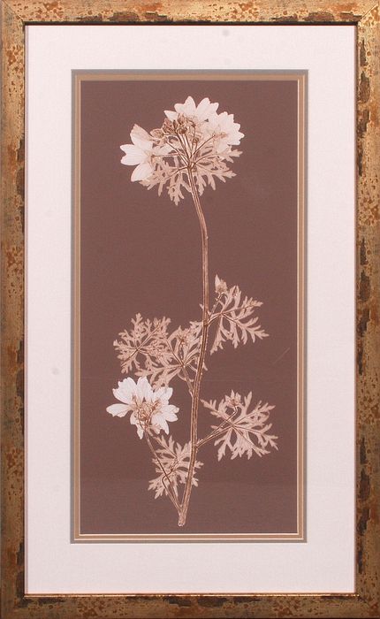 20 x 32 (18 x 30)\nPrice: S