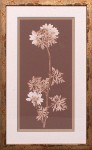 20 x 32 (18 x 30)\nPrice: S
