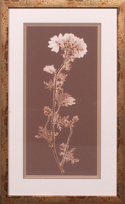 20 x 32 (18 x 30)\nPrice: S