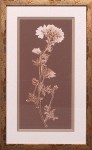 20 x 32 (18 x 30)\nPrice: S
